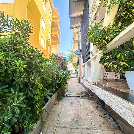 Coastal Star Haven E05 *